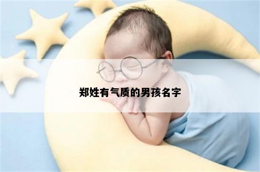 郑姓有气质的男孩名字